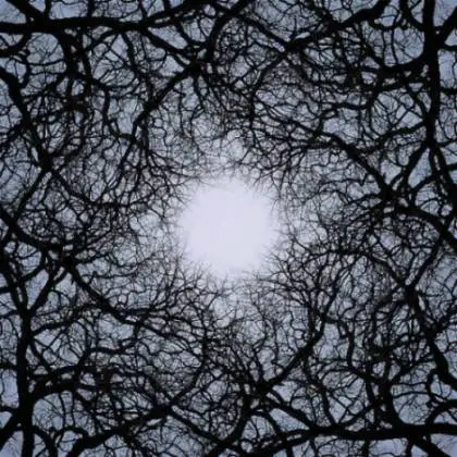 Celacanto : Cementerio de Gigantes